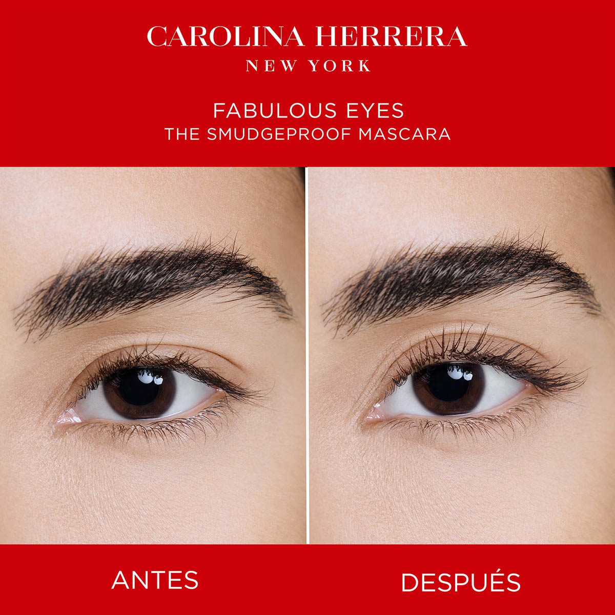 SMUDGEPROOF FABULOUS EYES MASCARA (MÁSCARA DE PESTAÑAS)
